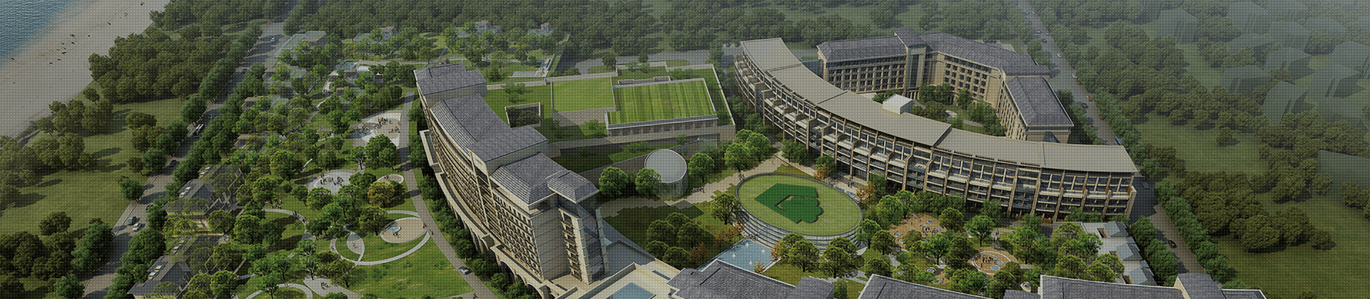 亚洲男女在线观看视频