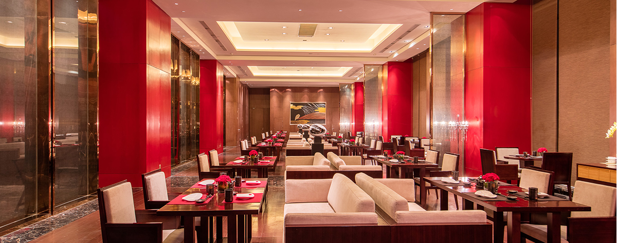 亚洲男女在线观看视频