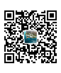 亚洲男女在线观看视频