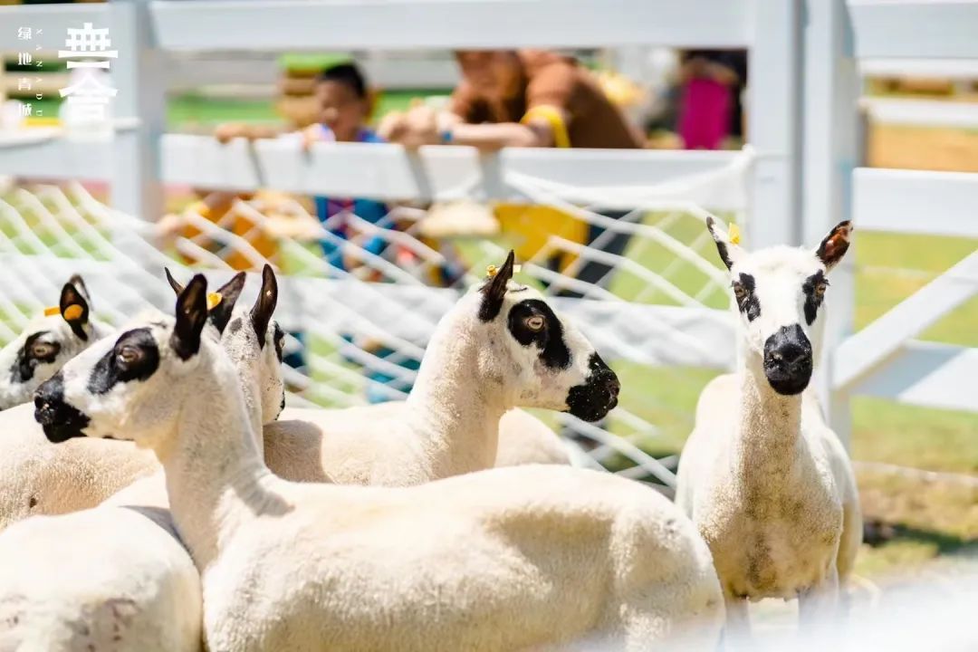 亚洲男女在线观看视频